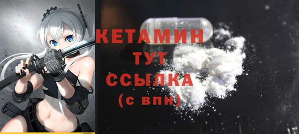 твердый Новодвинск