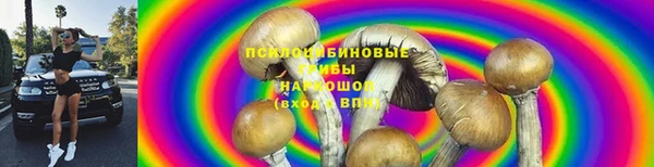 mdpv Новокубанск