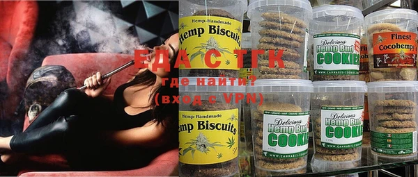 твердый Новодвинск