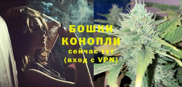 твердый Новодвинск