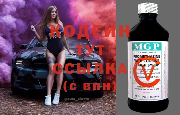 твердый Новодвинск