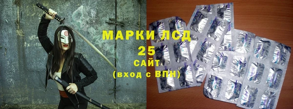 твердый Новодвинск