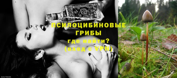 твердый Новодвинск