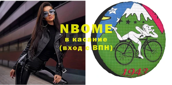 твердый Новодвинск