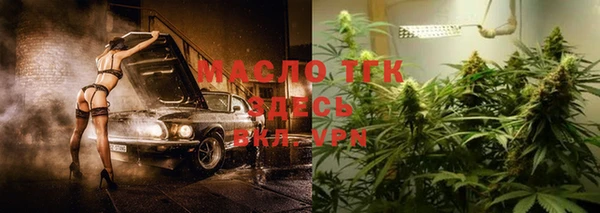 твердый Новодвинск